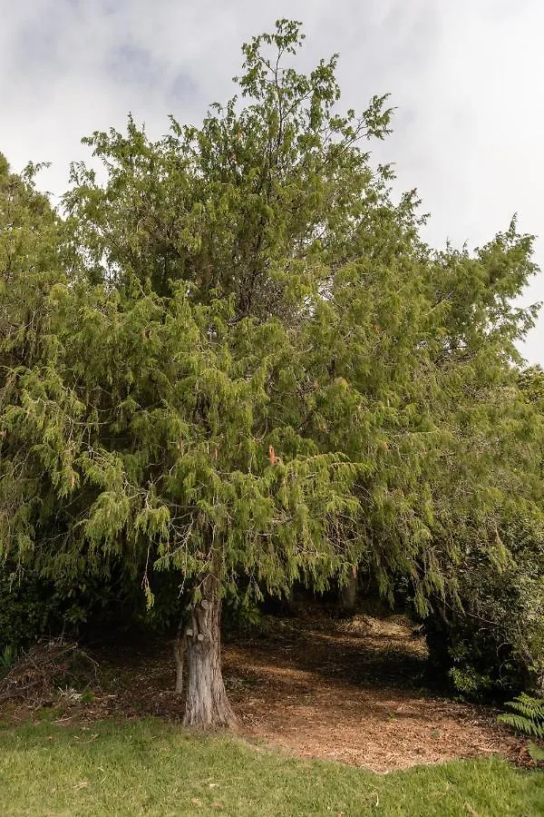 Mialon Rural Apartment: Haven Of Calm In Nature La Esperanza  Appartement